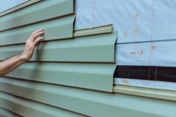 Best Steel Siding Installation  in St Petersburg, FL